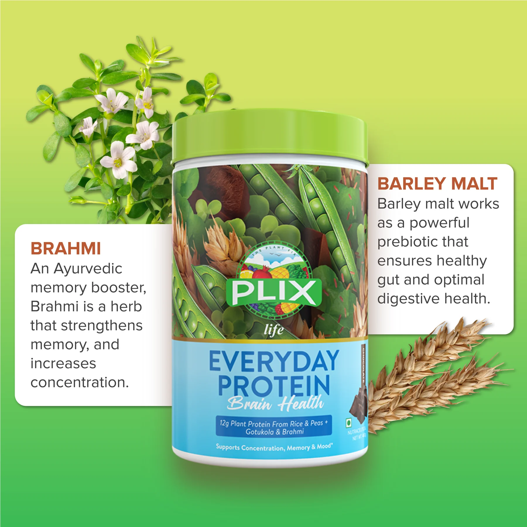 Plix · Everyday Protein — Ingredients 01