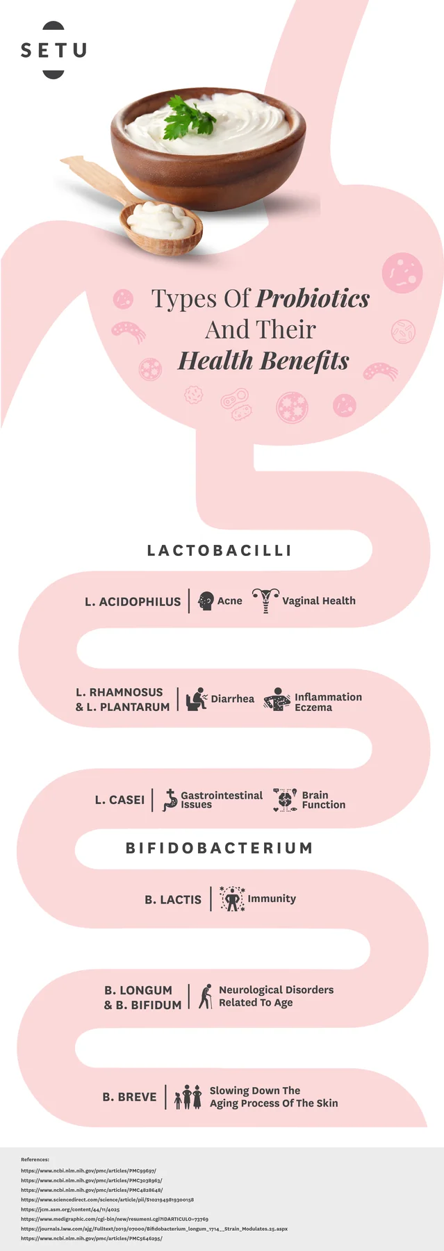 Setu — Probiotics email, full length